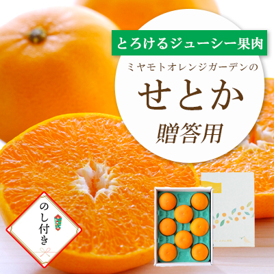 【先行受付】 とろける濃厚柑橘 せとか のし付き ギフトボックス入り【E25-168】【1536588】 YWTAP109