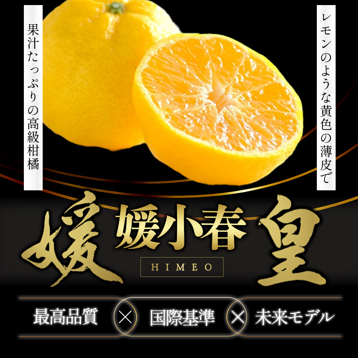 【先行受付】最高級みかん 媛皇 媛小春 4kg 愛媛県 八幡浜市 希少な幻の柑橘 黄色【H25-321】【1714065】 YWTAP262