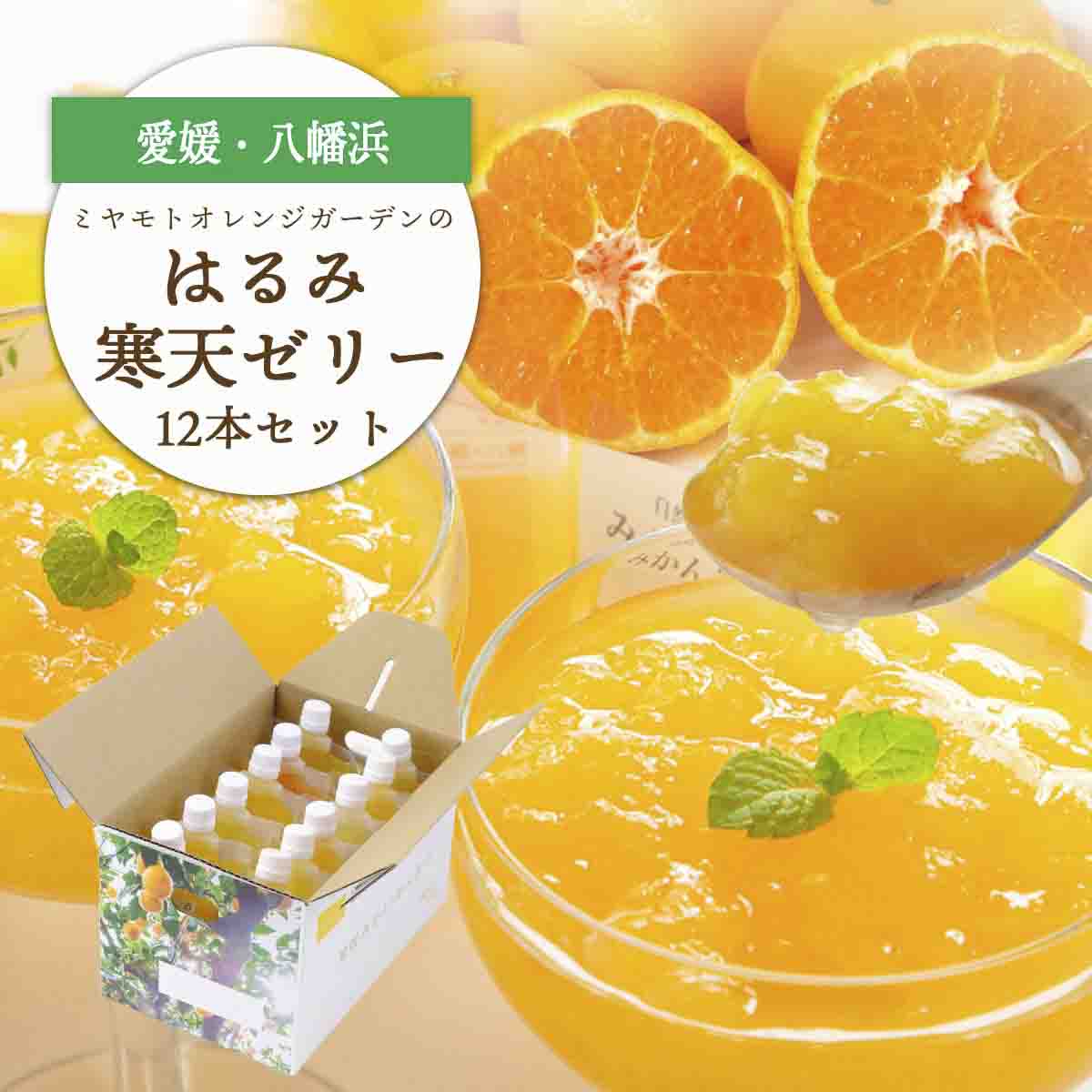 ゲル化剤・pH調整剤不使用!愛媛産 はるみ寒天ゼリー 12本セット【D25-232】【1629916】 YWTAP173