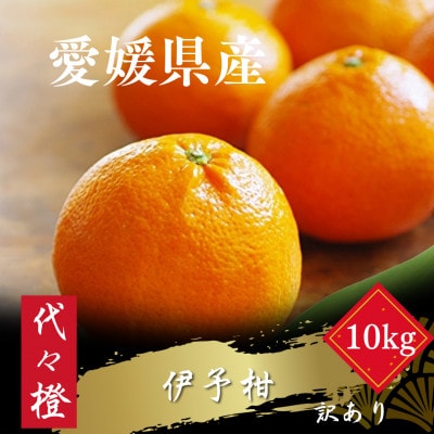 【ジューシー果肉がいい香り♪】【訳あり】伊予柑 10kg【E83-13】【1549103】