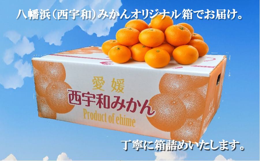 倪éœã®å
ã»ç³å£ã®åå°å
ã»æµ·é¢ã®åå°å
ãæµŽã³ãŠè²ã£ããå
«å¹¡æµã¿ãããçŽ5ãããC39-79ããé
éäžå¯å°åïŒé¢å³¶ãã1636310ã YWTF054