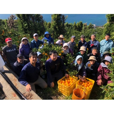 【12月より順次発送】紅まどんな同品種　みさき果樹園の愛まどんな1.5kg【D21-38】【1614782】