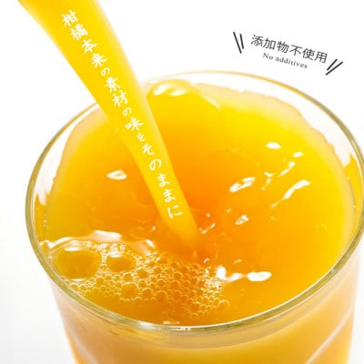 媛一ジュース160ml×8本セット・果汁100%ストレートジュース【D24-35】【1635216】