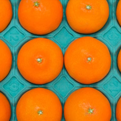 柑橘の鬼たちがつくる八幡浜産・鬼マドンナ(2.7kg〜3.0kg)[贈答用]【E56-16】【配送不可地域：離島】【1250206】