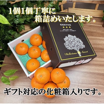 2026幎2æãé æ¬¡åºè·ãææ©ã®å€§ãããããšããçŽ2kg ãC39-55ããé
éäžå¯å°åïŒé¢å³¶ãã1462367ã