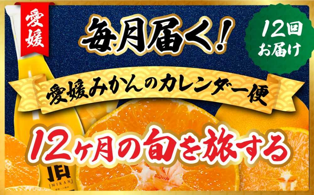 【発送月固定定期便】毎月届く!みかんのカレンダー便　〜12ヶ月の旬を旅する〜【H31-62】全12回【配送不可地域：離島】【4074244】 YWTAC051