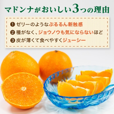 2025年11月発送開始　ぷるぷる新食感「マドンナ」約4kg　【D39-31】【1149494】