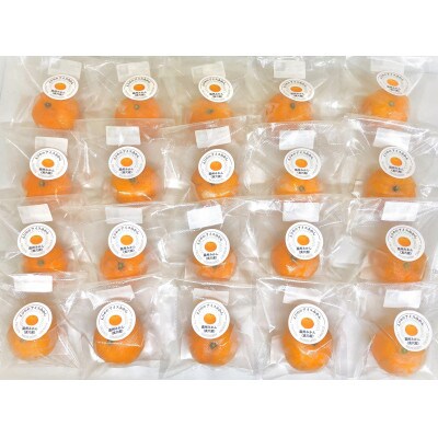 縲千悄遨エ逕」縲大キ蜃阪∩縺九s縲縺医イ繧√ョ繧「繧、繧ケ縺ソ縺九s縲20陲玖ゥー繧√織82-2縲代宣埼∽ク榊庄蝨ー蝓滂シ夐屬蟲カ縲代1596742縲