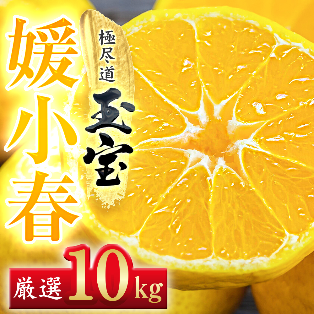 【愛媛名産】玉宝媛小春(ひめこはる)　10kg【H64-88】【1623971】 YWTY077