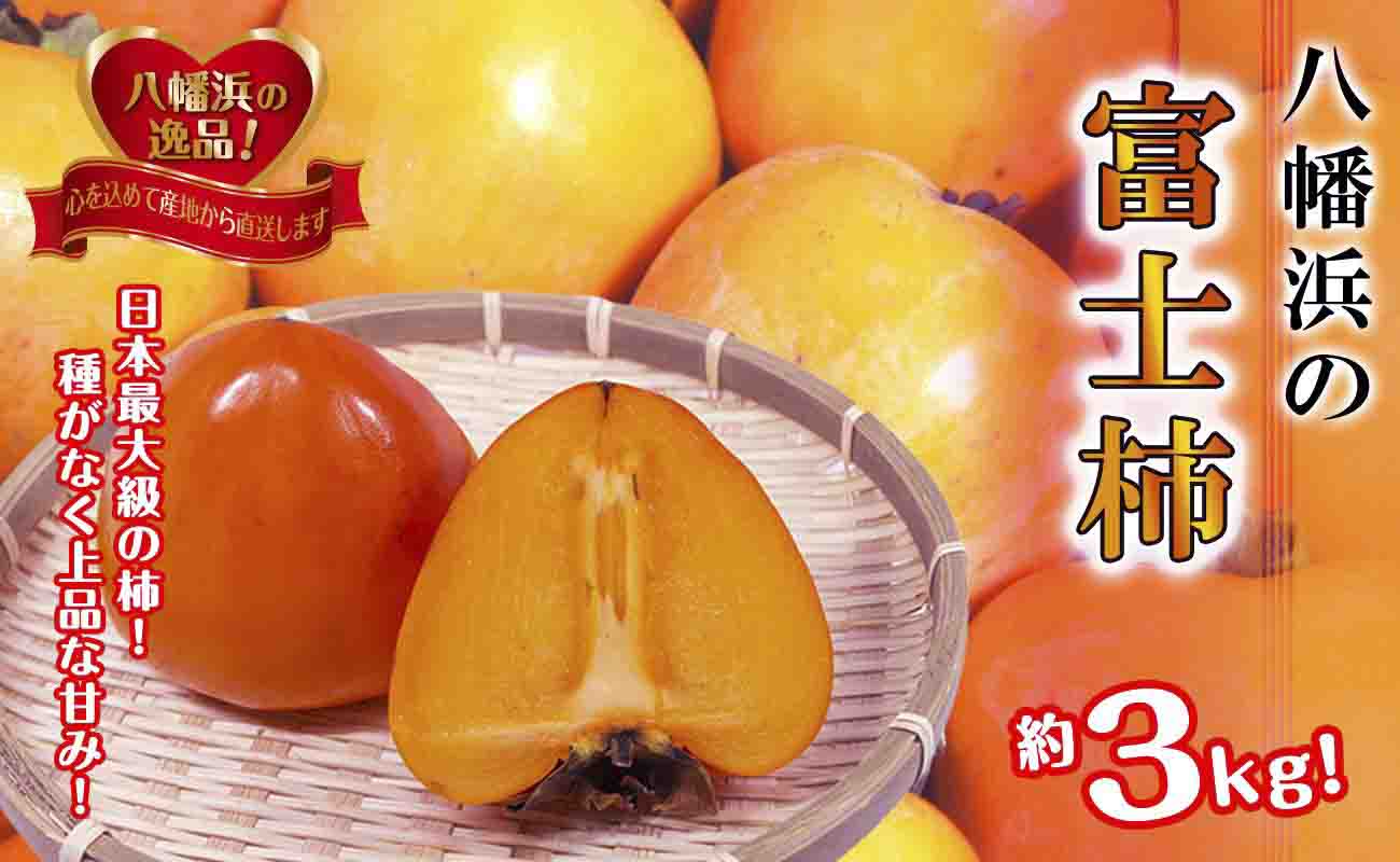 甘さにニッコリ!日本最大級の柿「富士柿」約3キロ【C39-72】【配送不可地域：離島】【1620371】 YWTF047