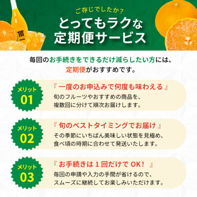 【発送月固定定期便】みかんのある暮らし全12回【H31-33】【配送不可地域：離島】【4000707】