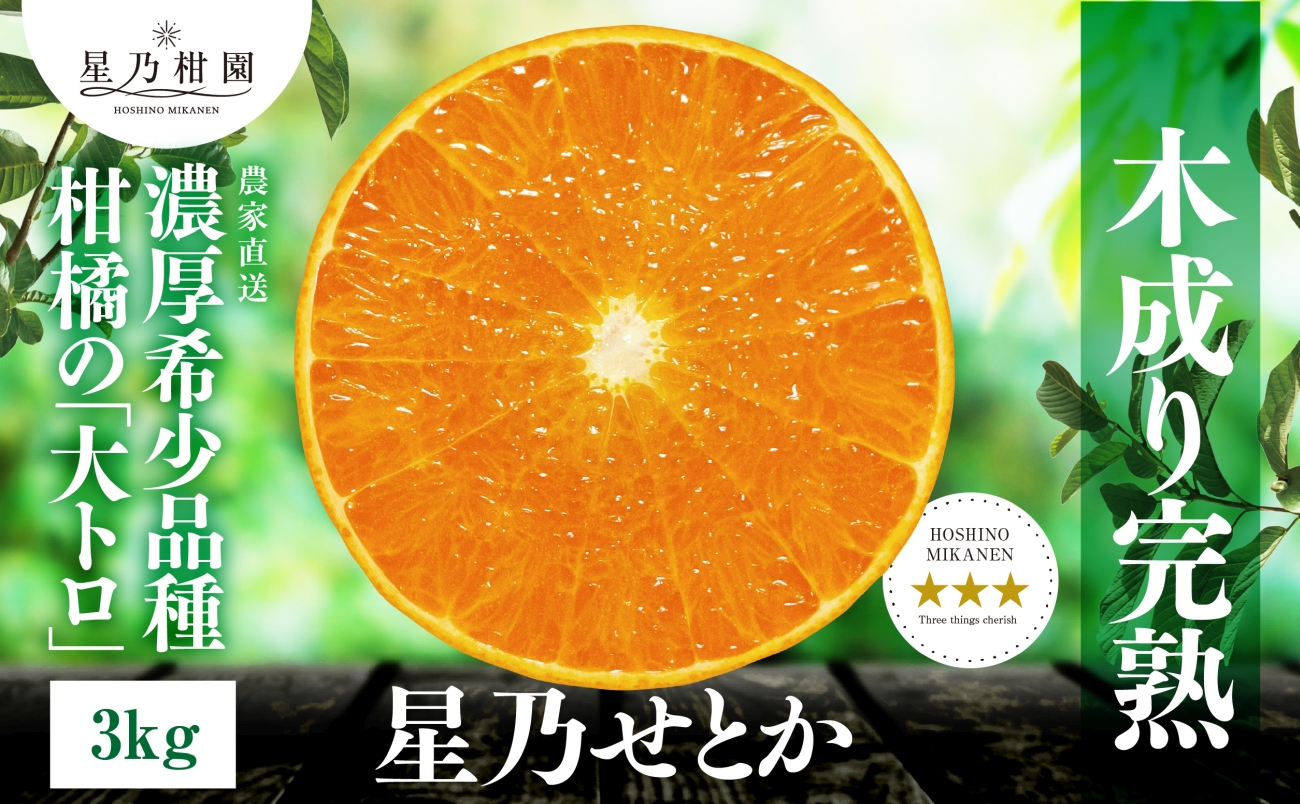【三つ星ブランド】星乃せとか(3kg)【D45-93】【1625776】