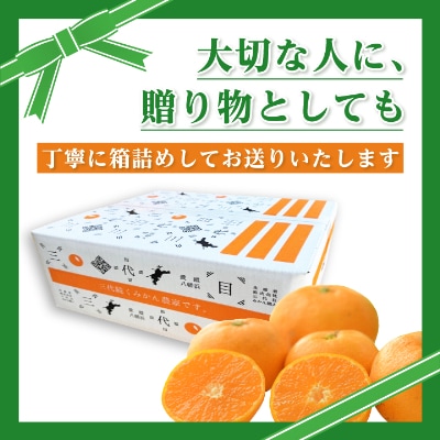 äžä»£ç®ãã€ããé«å質ãé ã¿ããã2kgã1181949ã