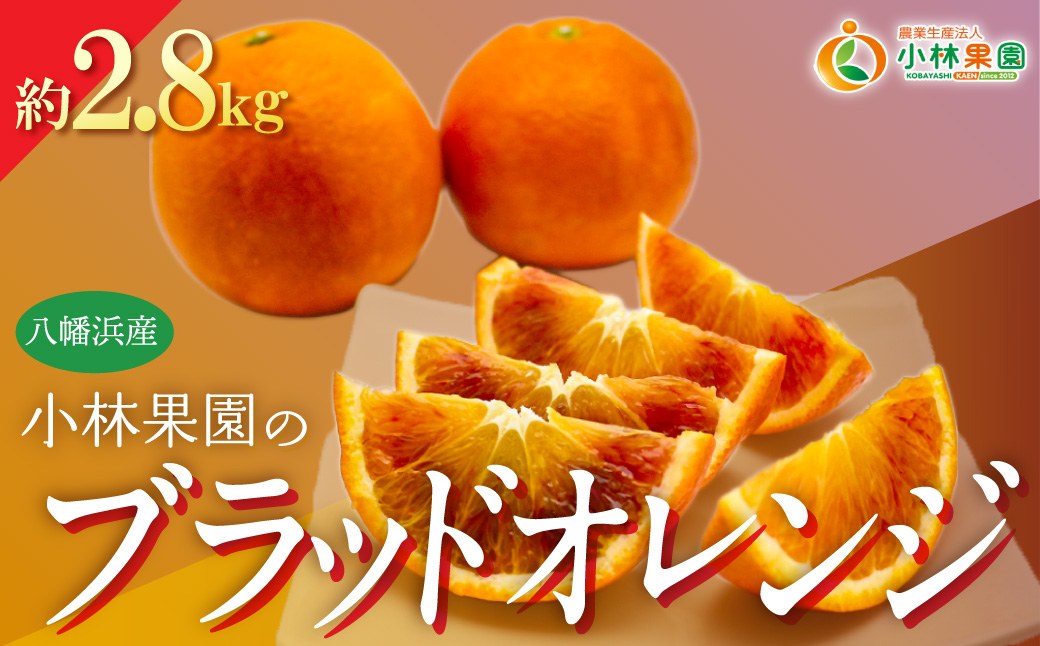 【先行受付】愛媛・小林果園のブラッドオレンジ 約2.8kg【C24-32】 YWTAD023