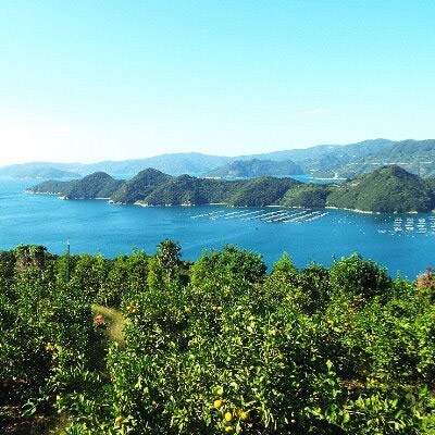 縲仙郁。悟女莉倥鷹愆蝨ー縺ョ蛻晉黄縲梧・オ譌ゥ逕溘∩縺九s縲 邏5kg縲燭28-26縲代宣埼∽ク榊庄蝨ー蝓滂シ夐屬蟲カ縲代1125792縲 YWTN018