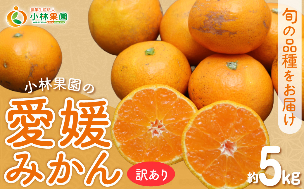 【先行受付】小林果園の愛媛みかん(約5kg)【訳あり】【C24-15】 YWTAD008