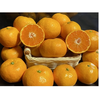 太陽と海の輝みかん5kg【C73-1】【1491883】