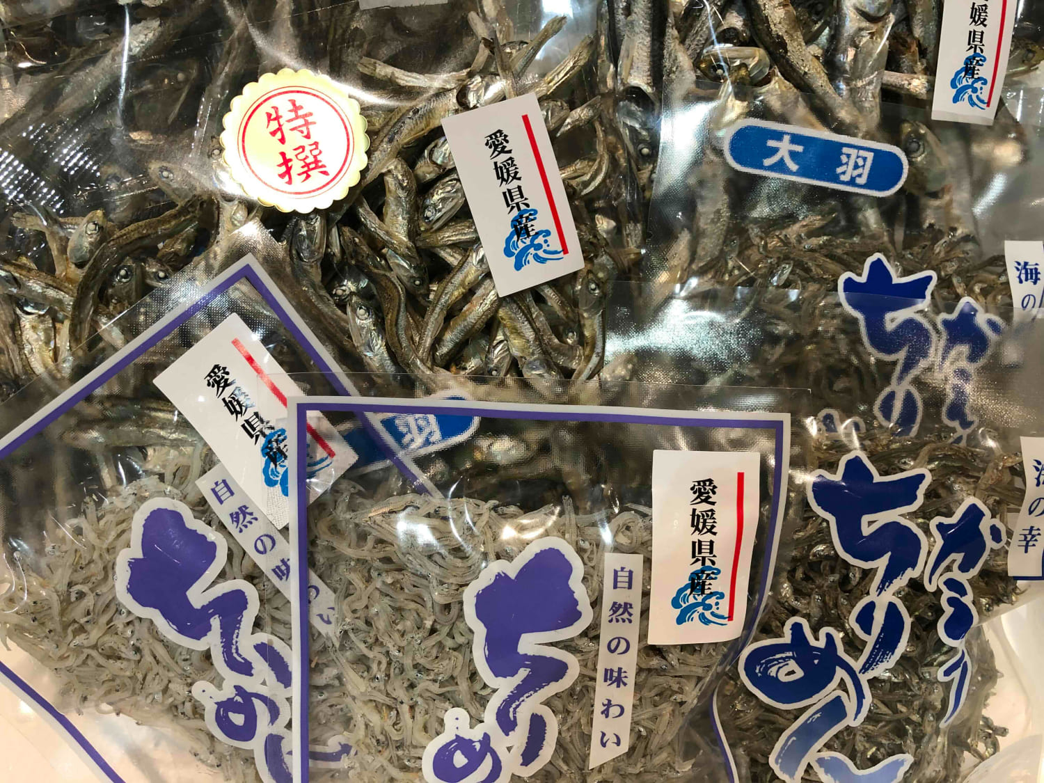 イリ子の詰め合わせ5種約1キロセット!【D22-251】【配送不可地域：離島】【1073908】 YWTM069