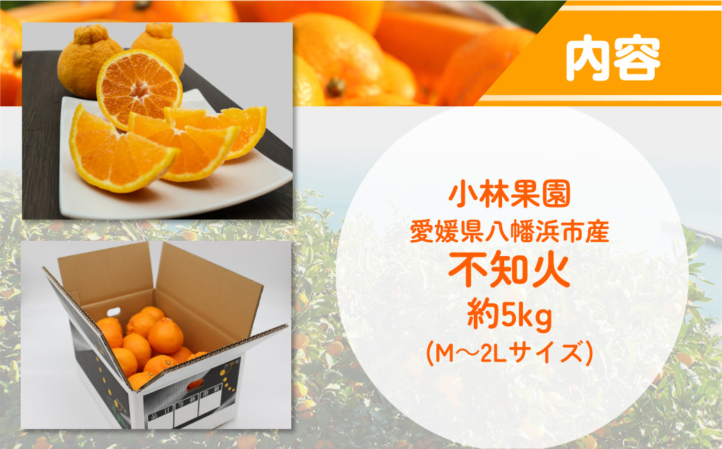 【先行受付】小林果園の不知火(約5kg)【C24-20】 YWTAD013