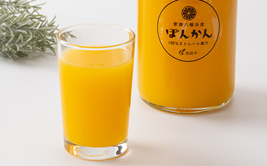 6çš®ã¿ãããžã¥ãŒã¹ã»ãã12æ¬ã»ãã(å2æ¬)ãH56-85ãã1668721ã