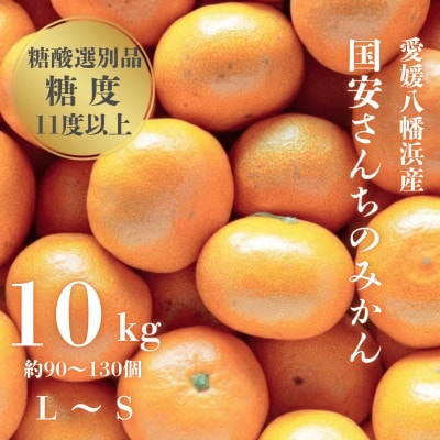 【糖度11度以上 酸1.0以下 糖酸選別品】愛媛みかん 10kg【D20-3】【1094602】