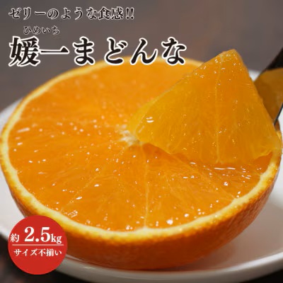 ãå
è¡åä»ããŒãªãŒã®ãããªé£æ!ãåªäžãŸã©ããªãçŽ2.5kgå
¥ãC28-42ãã1437098ã YWTN029
