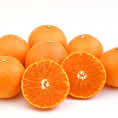 ãæ°åçš®!!ããçå¹³ÃãŸã©ããªãææ48å·(çŽ
ããªã³ã»ã¹ãšååçš®)ãæ¥µã2kgãD49-90ãã1621802ã