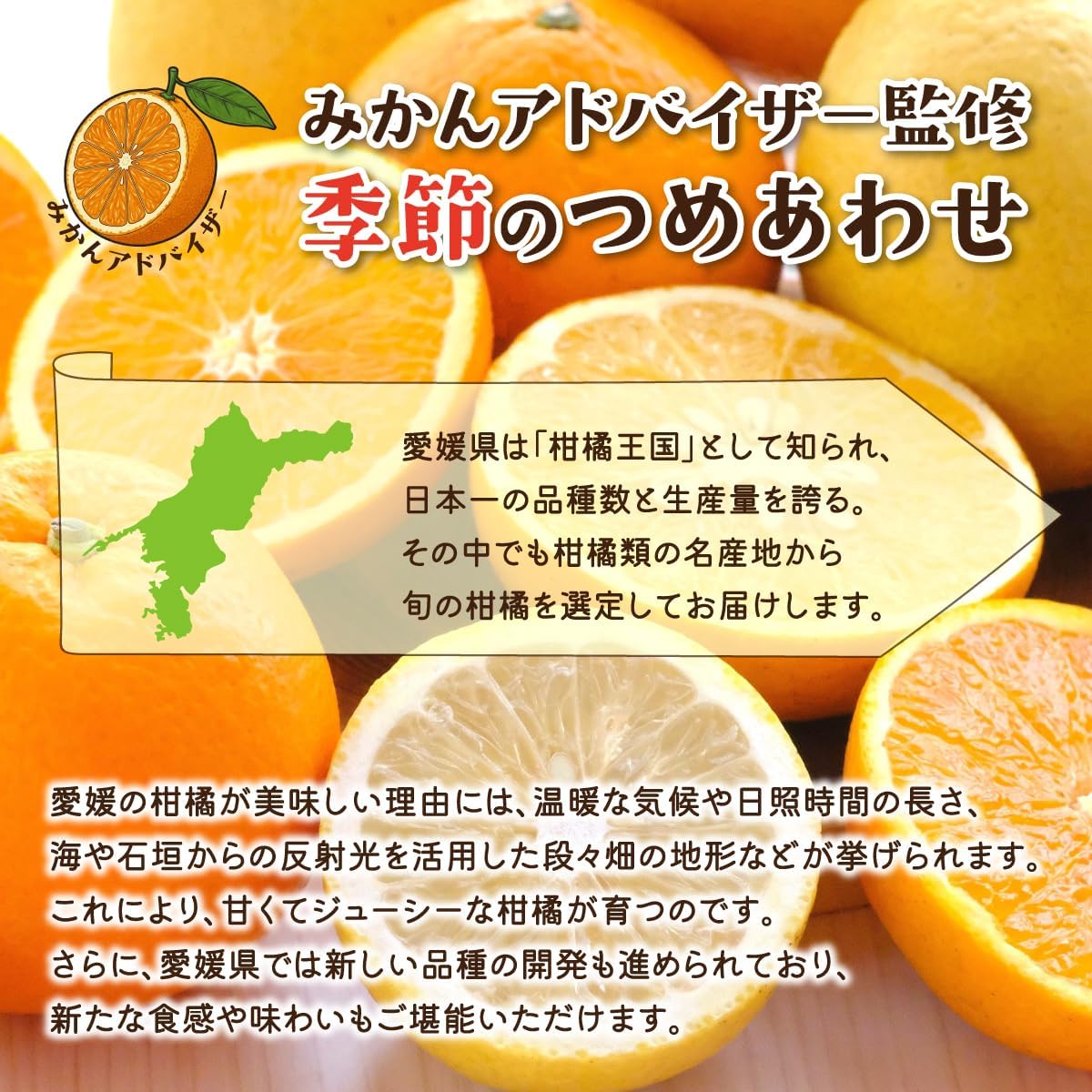 【先行受付】愛媛県八幡浜産 旬のかんきつ詰め合わせバラエティセット 計3kg【訳あり】【D25-294】【1704524】 YWTAP235