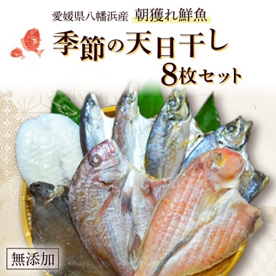 無添加・天日干し　ピチピチ朝獲れ鮮魚の一夜干し8枚セット【D26-1】【配送不可地域：離島】【1044326】