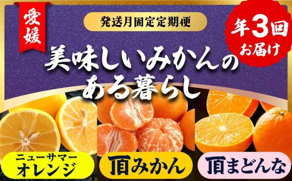 【発送月固定定期便】美味しい柑橘【みかん・まどんな・ニューサマーオレンジ】【G31-44】全3回【4058606】 YWTAC033