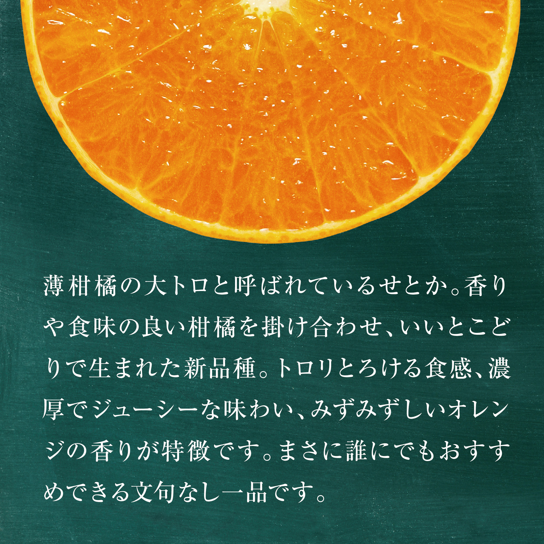 【先行受付】【訳あり】星乃せとか 柑橘の大トロ(5kg)【C45-97】【1650682】 YWTAZ059