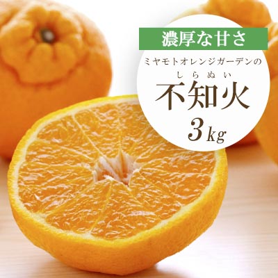 【先行受付】デコポンと同品種 濃厚柑橘 不知火(しらぬい) 3kg【C25-203】【1612369】 YWTAP144