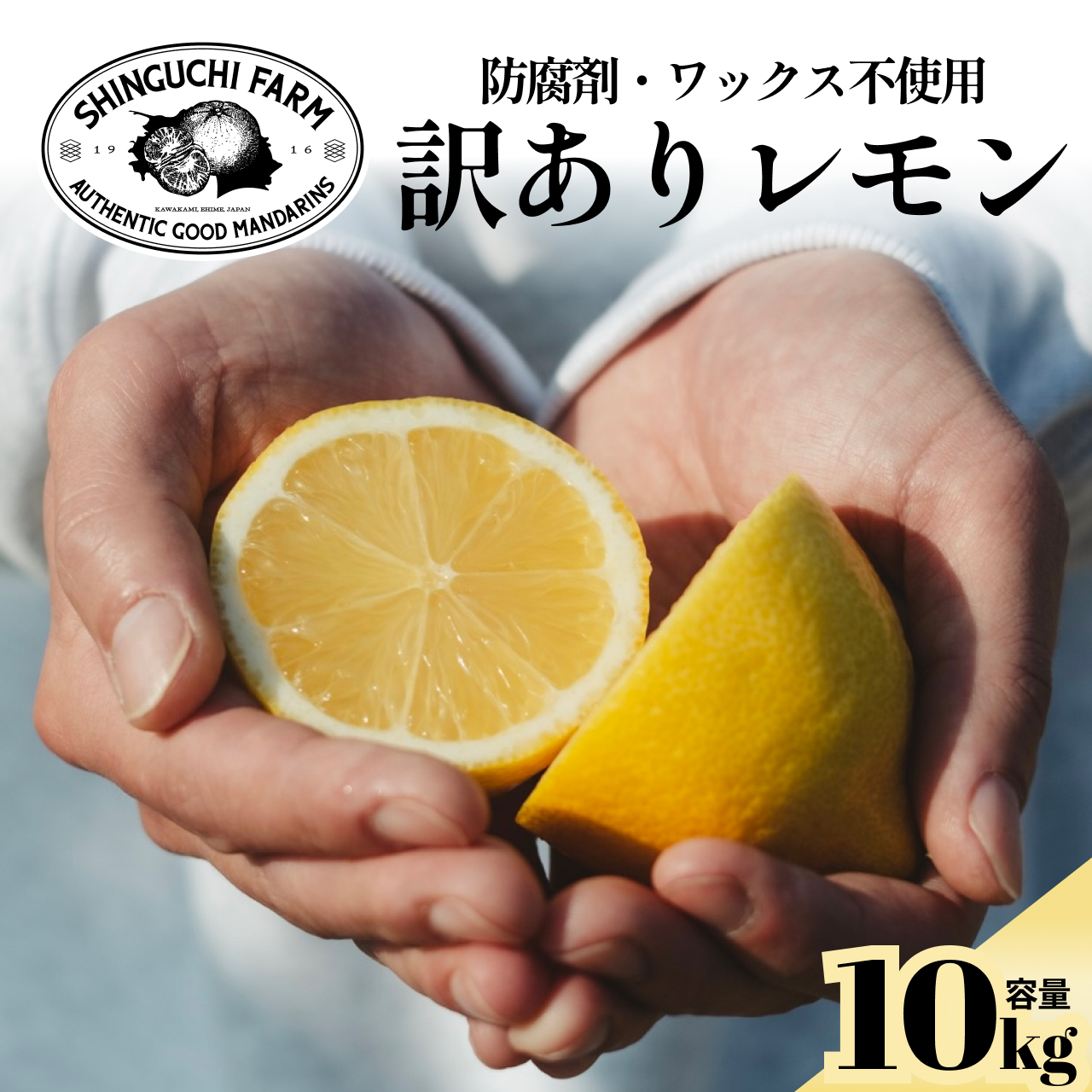 【太陽の恵みをギュッと凝縮】訳あり 愛媛レモン10kg 防腐剤・ワックス不使用【F70-23】【1470681】 YWTK023