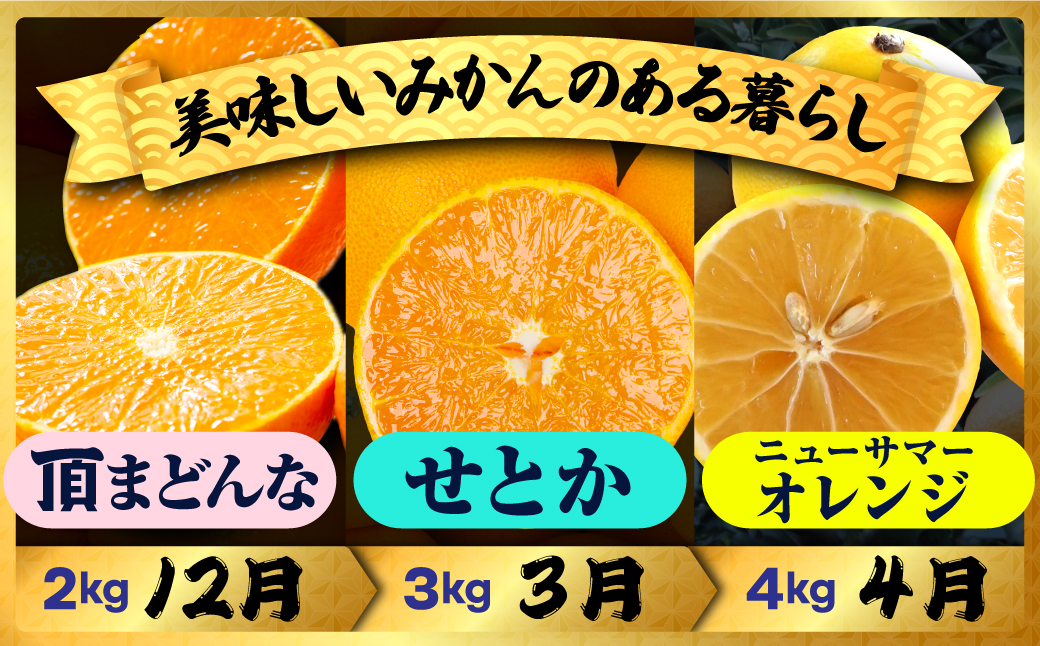 【発送月固定定期便】美味しい柑橘【まどんな・せとか・ニューサマーオレンジ】【G31-45】全3回【配送不可地域：離島】【4058607】 YWTAC034