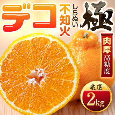 【太陽をたっぷり浴びた】デコ(不知火)【極】2kg【A49-95】【1623956】