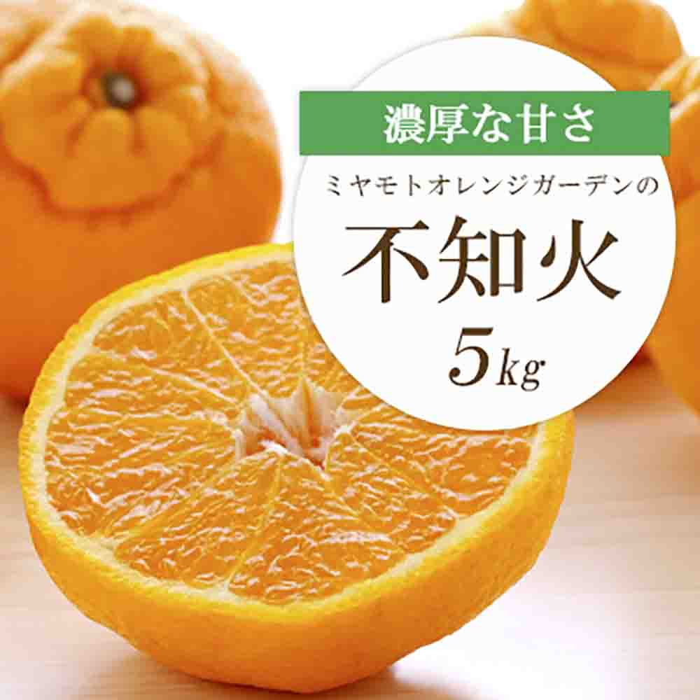 ãå
è¡åä»ããã³ãã³ãšååçš® æ¿åææ© äžç¥ç«(ããã¬ã) 5kgãD25-125ãã1268367ã YWTAP068