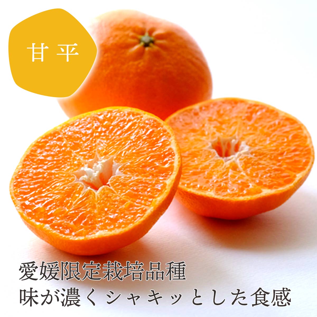 【先行受付】愛媛限定栽培柑橘 甘平(かんぺい)2kg【訳あり】【D25-184】【1608049】 YWTAP125