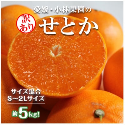 ★訳アリ★【数量限定500箱】　愛媛・小林果園のせとか　約5キロ【D24-38】【1711119】
