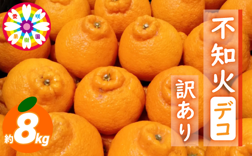 愛咲果樹園 「 不知火 ( デコ )」 訳あり 約8kg【C71-13】【1344724】