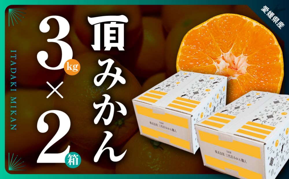 三代目がつくる【頂みかん】3kg×2箱【D31-21】【1503338】 YWTAC011