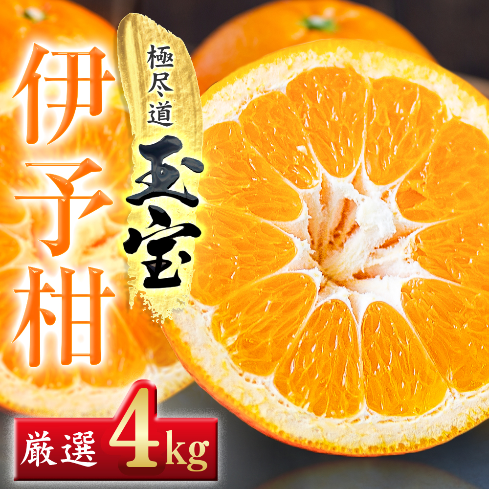 【愛媛名産】玉宝伊予柑　4kg【C64-58】【1511350】 YWTY047