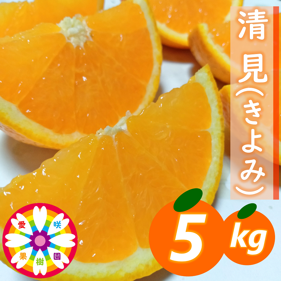 【先行受付】愛咲果樹園 「 清見 」約5kg【C71-14】【1344729】 YWTS012