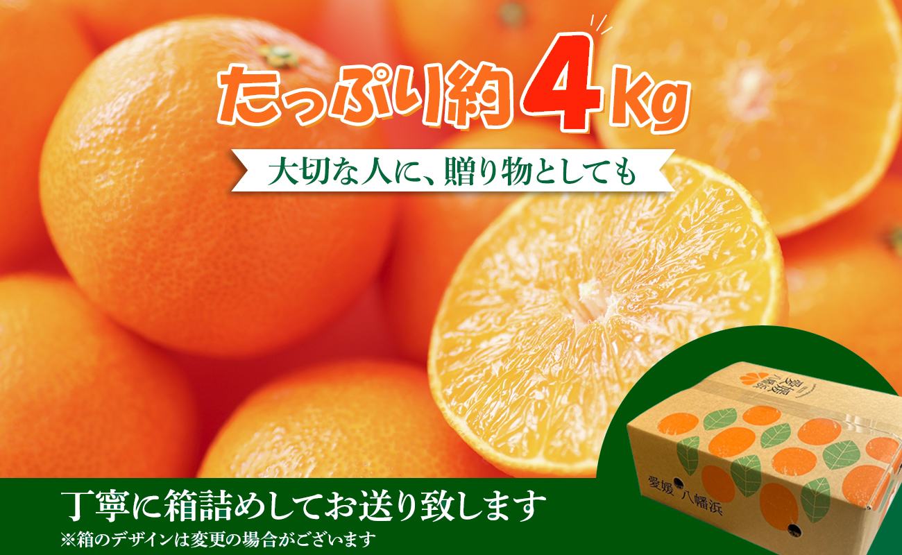 【先行受付】ぷるぷる新食感「マドンナ」約4kg　【D39-31】【1149494】 YWTF013