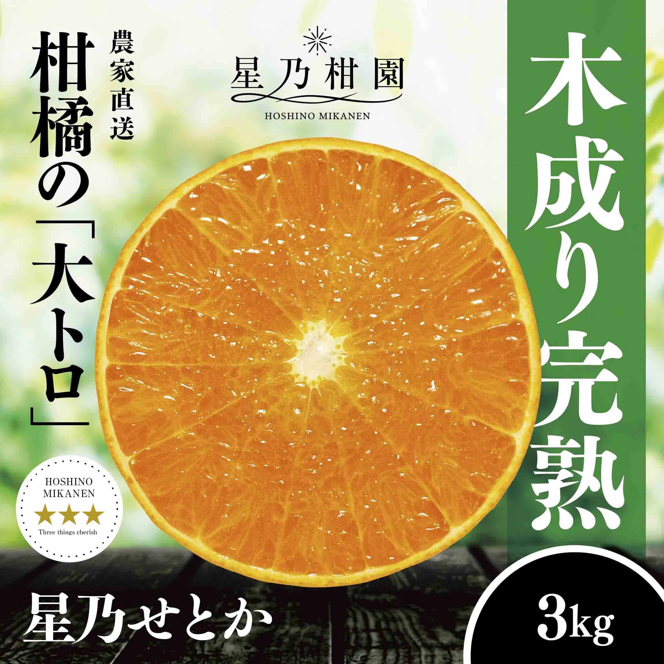 【三つ星ブランド】星乃せとか(3kg)【D45-93】【1625776】 YWTAZ055