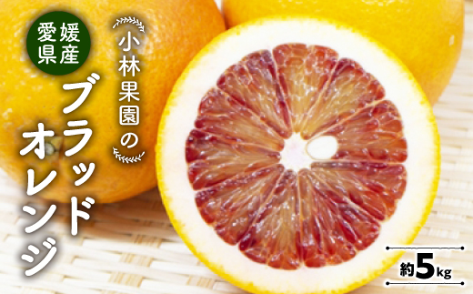 小林果園のブラッドオレンジ(約5kg)【C24-24】【1124430】