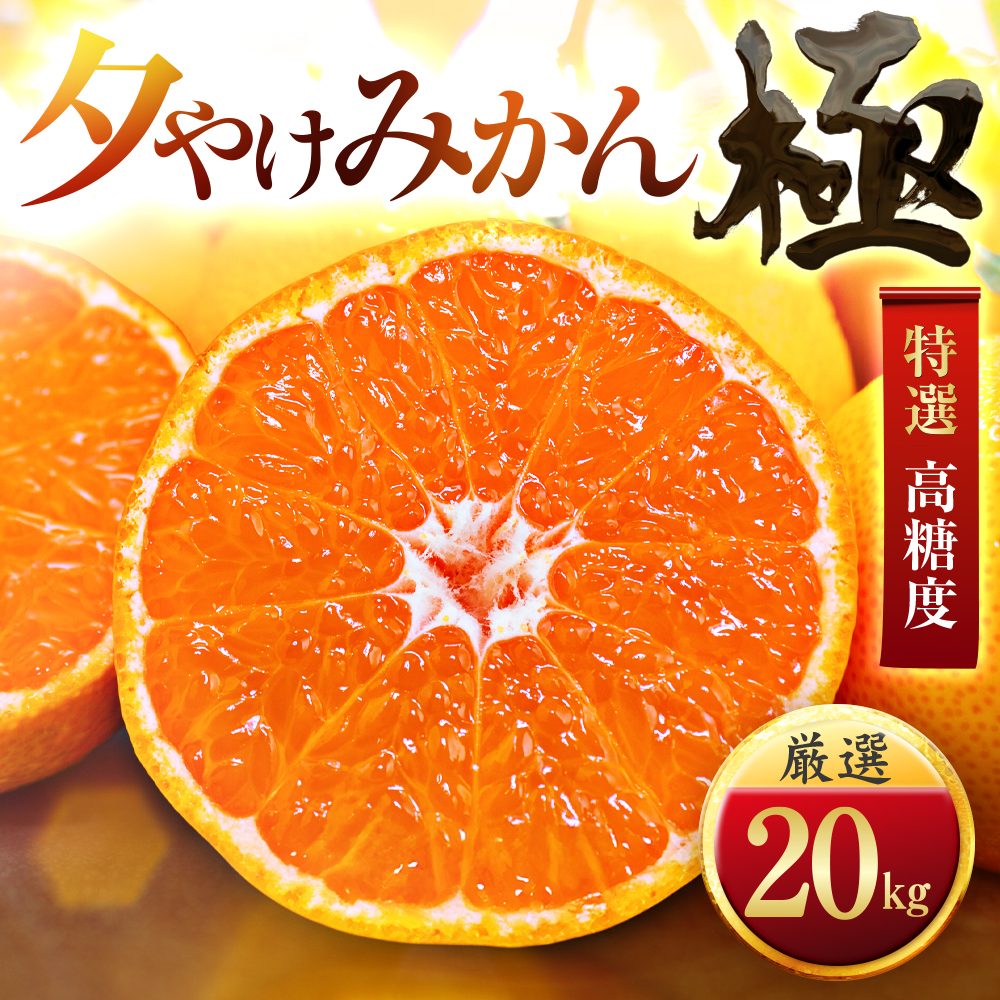 【甘みが濃縮されたみかん】愛媛で育った夕やけみかん【極】20kg(小玉)【H49-30】【1508884】 YWTZ022
