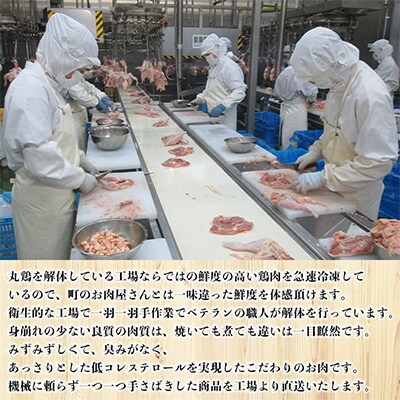 浜千鶏セット・浜千鶏焼き鳥セット【F29-3】【複数個口で配送】【配送不可地域：離島】【4011838】