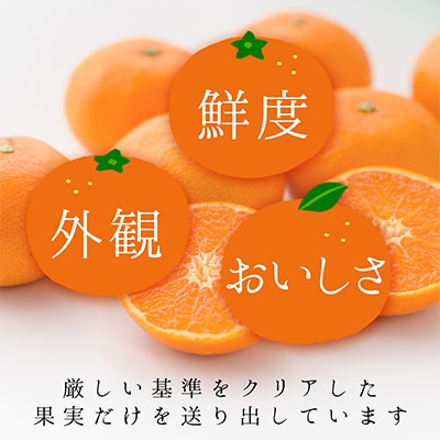 繧ウ繧ヲ譫懈ィケ蝨偵ョ雍育ュ皮畑縲千曝蟷ウ縲3.5kg(繝舌Λ隧ー繧)縲織33-35縲代1457338縲