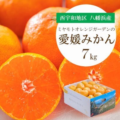 【2025年11月より順次発送】西宇和地区八幡浜市産 愛媛みかん 7kg【E25-123】【1166253】