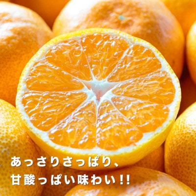 【創業85年 親子4代 愛媛みかん 一筋】愛媛八幡浜産 訳あり 極早生みかん 3kg【A20-45】【1594912】